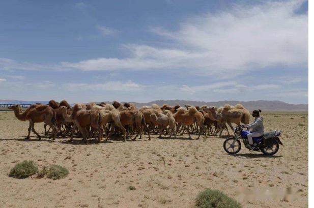 bet8��(�ɷ�)���޹�˾����