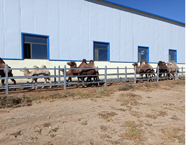 bet8��(�ɷ�)���޹�˾����