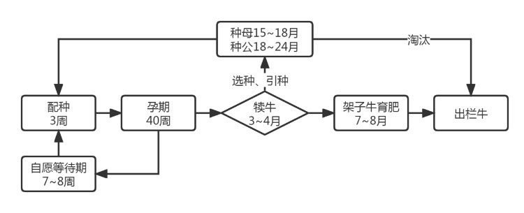 bet8(ɷ)޹˾