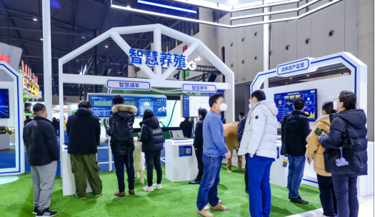 bet8��(�ɷ�)���޹�˾����