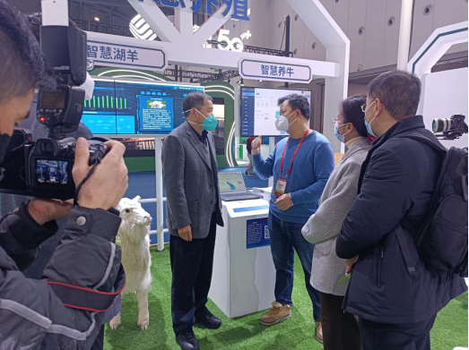 bet8��(�ɷ�)���޹�˾����